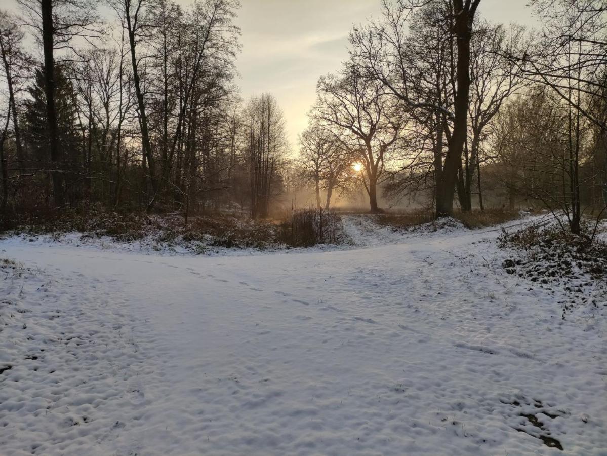 Ferienhaus Erna Villa Doberlug-Kirchhain Exteriör bild