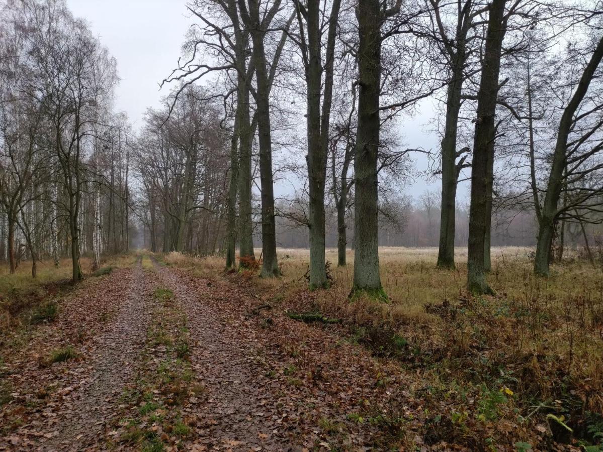 Ferienhaus Erna Villa Doberlug-Kirchhain Exteriör bild