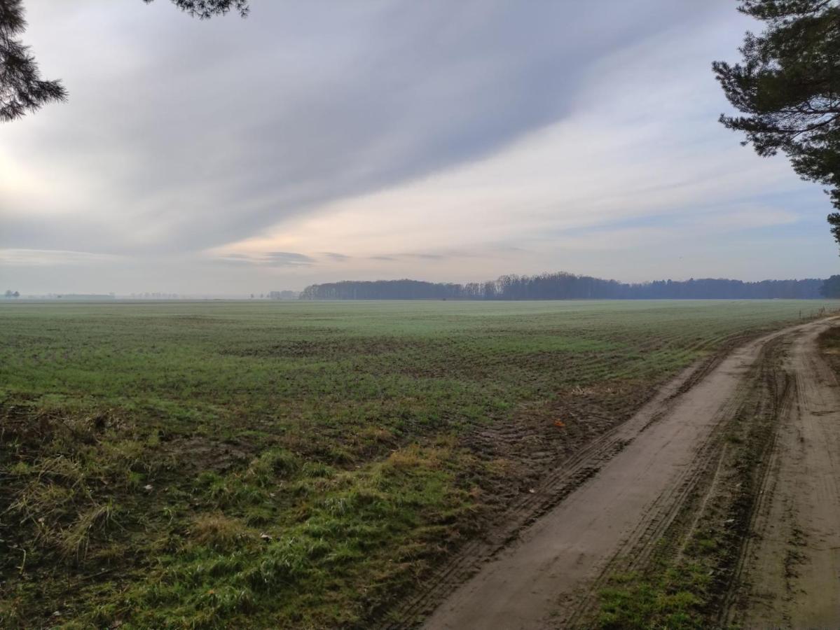 Ferienhaus Erna Doberlug-Kirchhain Exteriör bild