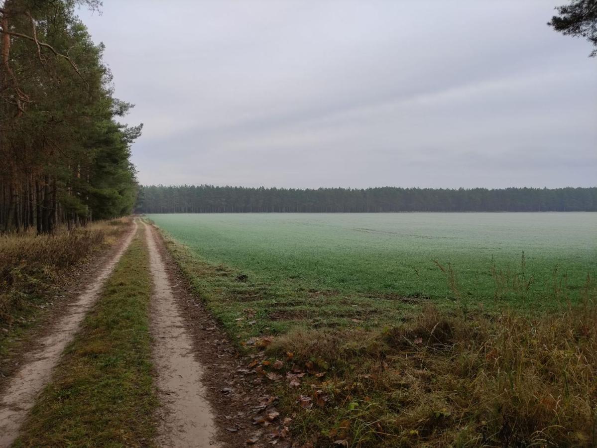 Ferienhaus Erna Doberlug-Kirchhain Exteriör bild