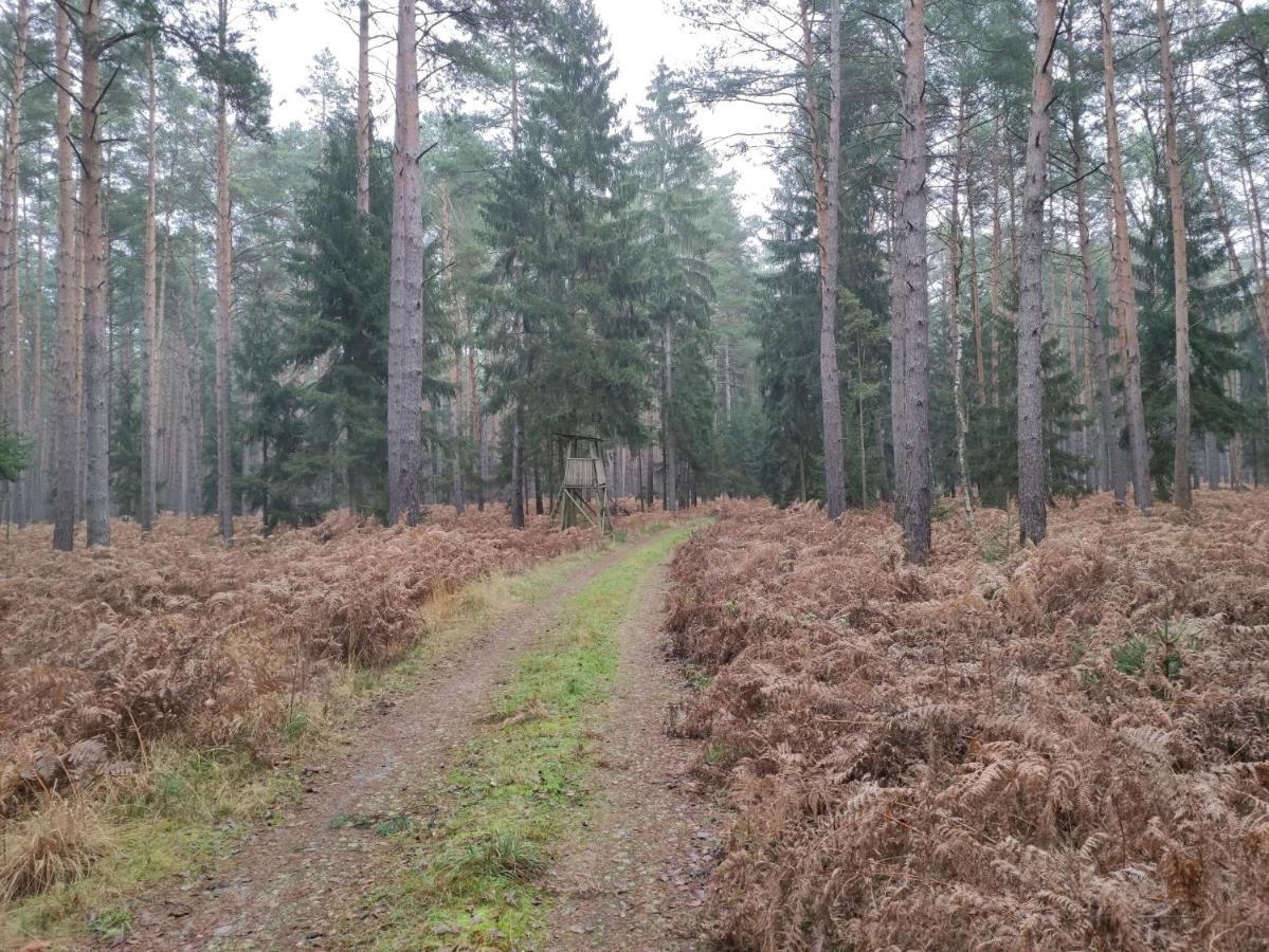 Ferienhaus Erna Doberlug-Kirchhain Exteriör bild