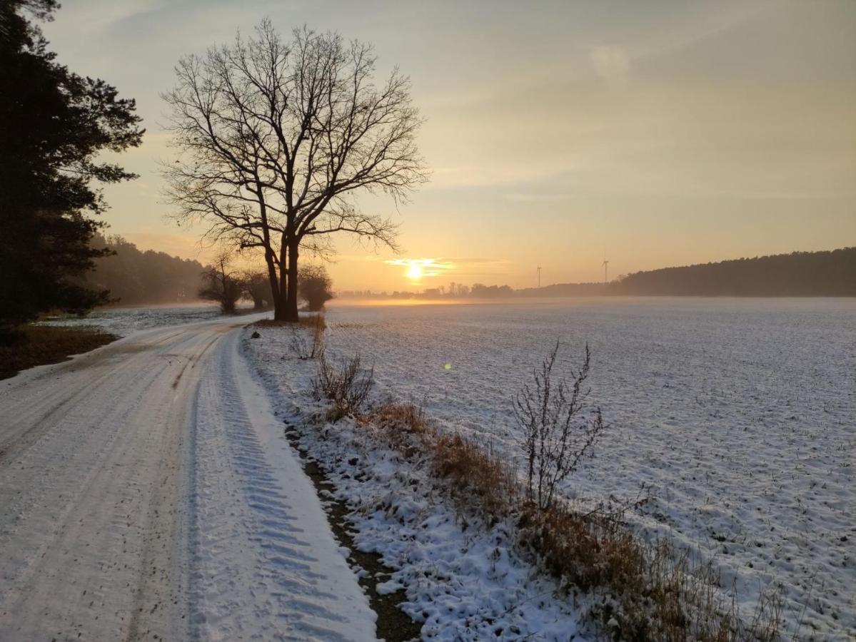 Ferienhaus Erna Doberlug-Kirchhain Exteriör bild