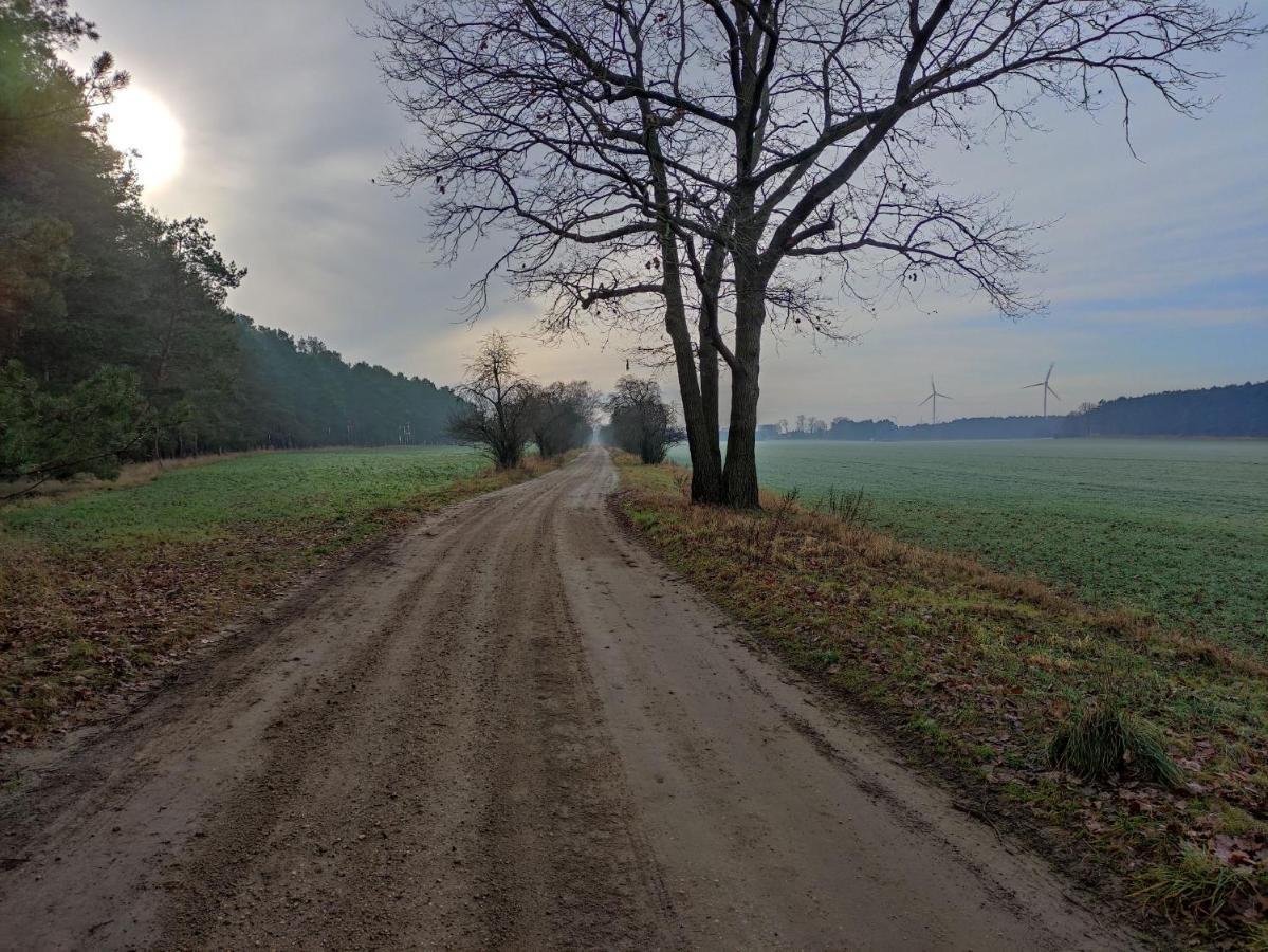 Ferienhaus Erna Doberlug-Kirchhain Exteriör bild