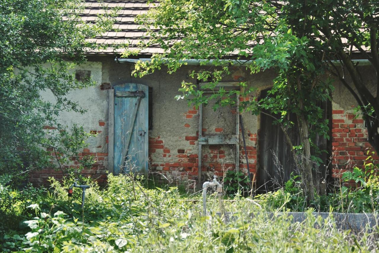 Ferienhaus Erna Doberlug-Kirchhain Exteriör bild