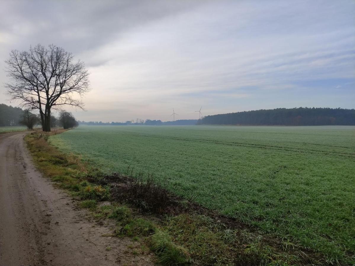 Ferienhaus Erna Doberlug-Kirchhain Exteriör bild
