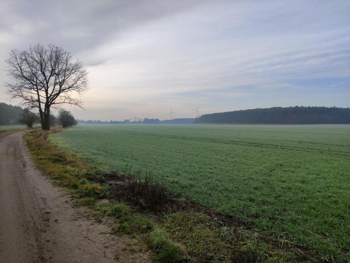 Ferienhaus Erna Villa Doberlug-Kirchhain Exteriör bild