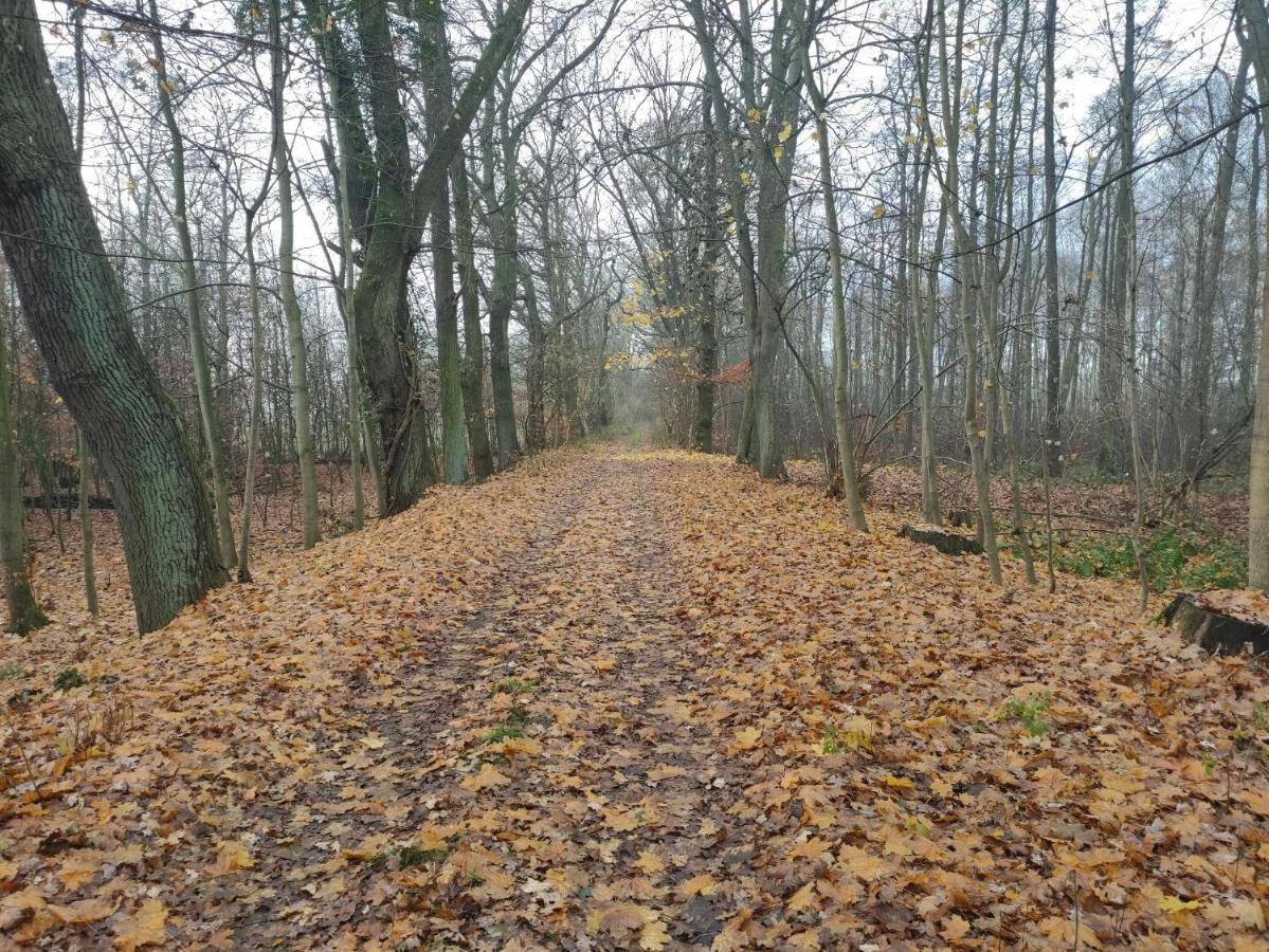 Ferienhaus Erna Villa Doberlug-Kirchhain Exteriör bild